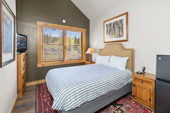 Telluride Mountain Lodge Ski in and Out - Stay and Save! - Image 1